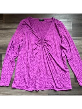 Lane Bryant Women's Long-Sleeved Top Size 18/20 Purple Textured V-Neck